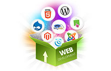 WEB DESIGNING